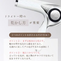画像261