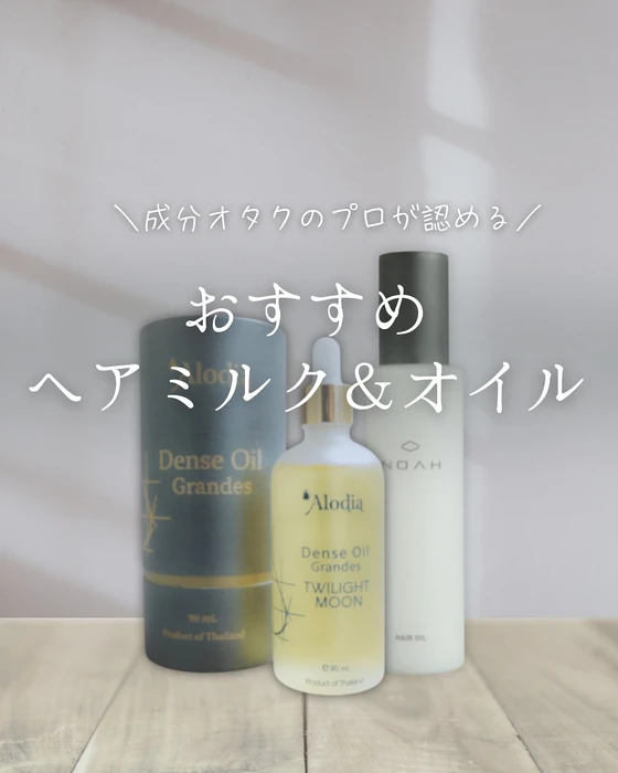 画像295