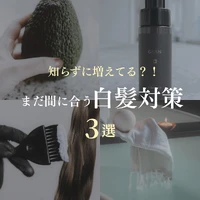 画像303