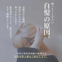 画像304