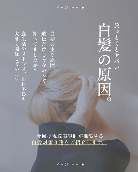 画像304
