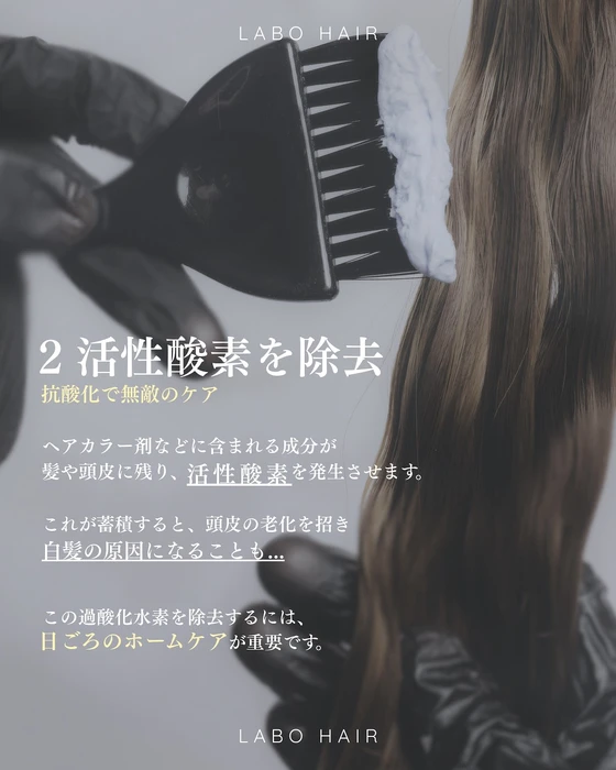 画像306