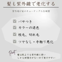 画像346