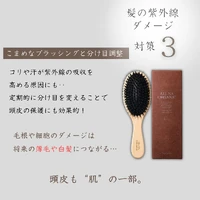 画像349