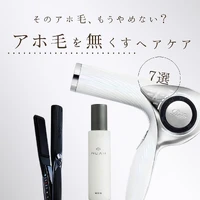 画像356