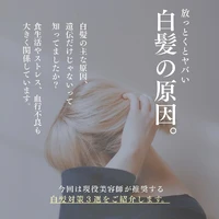 画像381