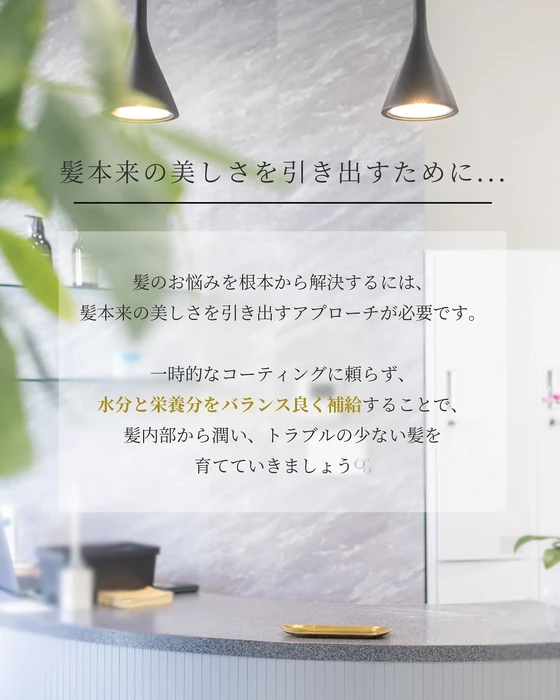 画像416
