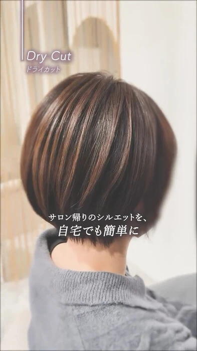 画像444